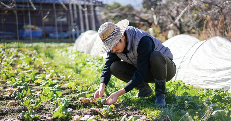 農作業をしている様子