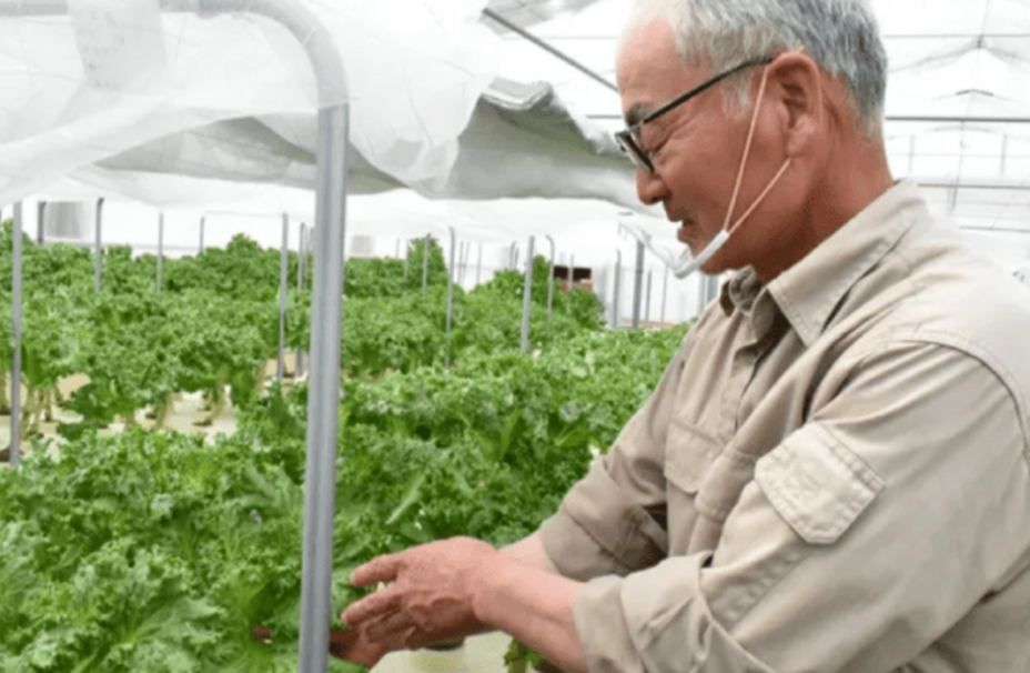 この文章はダミーです。